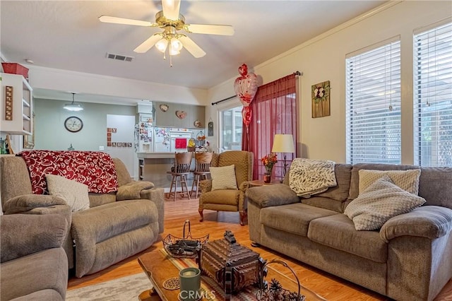 living area with a ceiling fan, a wealth of natural light, visible vents, and wood finished floors