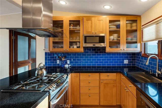 kitchen featuring stainless steel appliances, tasteful backsplash, a sink, and island range hood