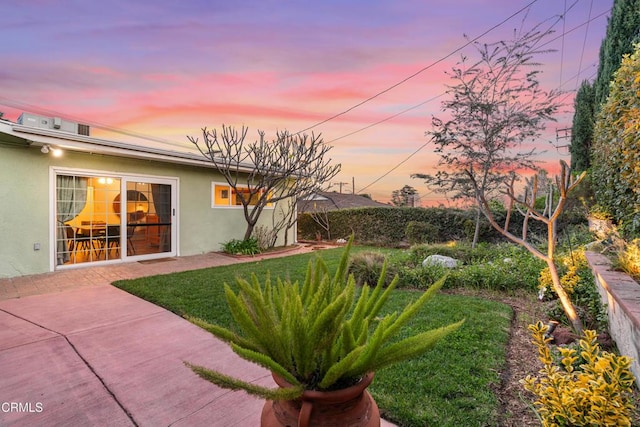 view of yard featuring a patio area