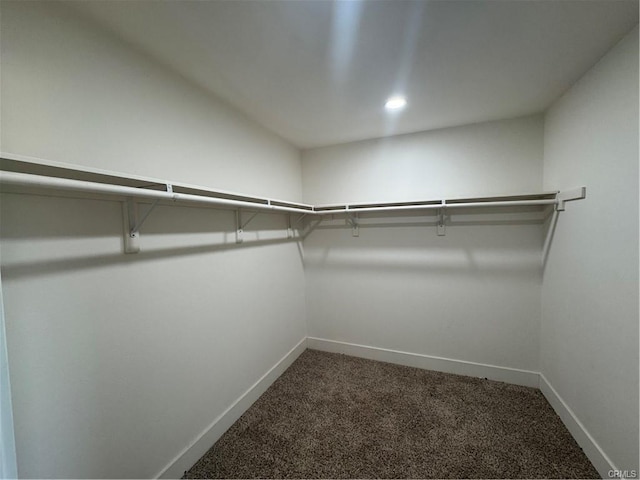 spacious closet featuring carpet