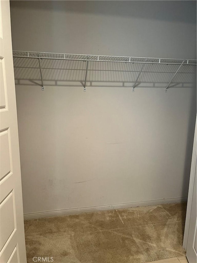 walk in closet with carpet flooring