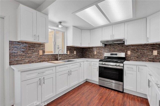 kitchen with decorative backsplash, gas stove, a sink, and under cabinet range hood