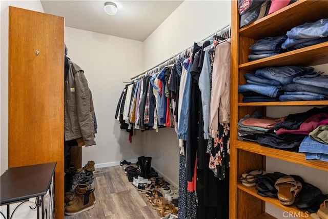 spacious closet with wood finished floors