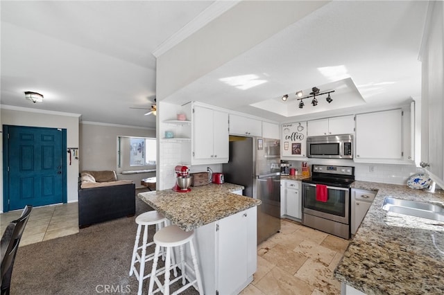 kitchen featuring a raised ceiling, appliances with stainless steel finishes, ornamental molding, a sink, and a peninsula