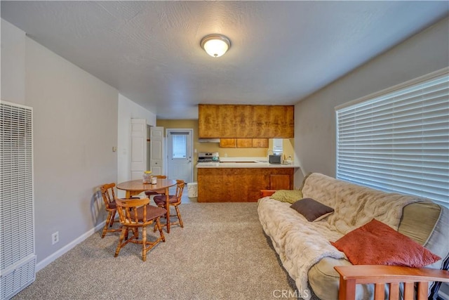 interior space with a heating unit, light colored carpet, and baseboards