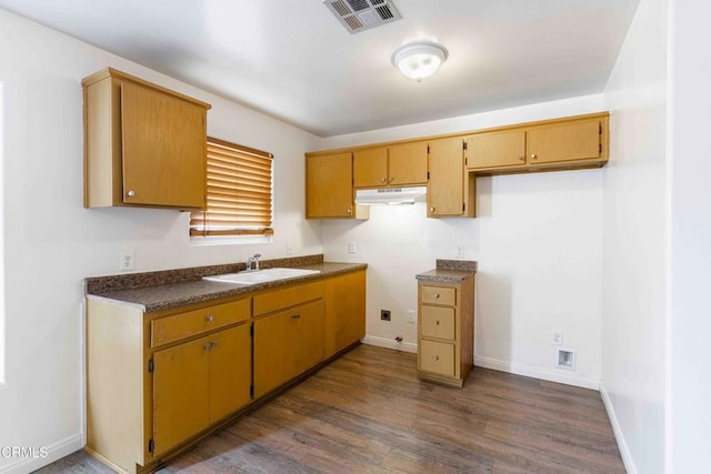 kitchen featuring under cabinet range hood, a sink, visible vents, baseboards, and dark wood finished floors