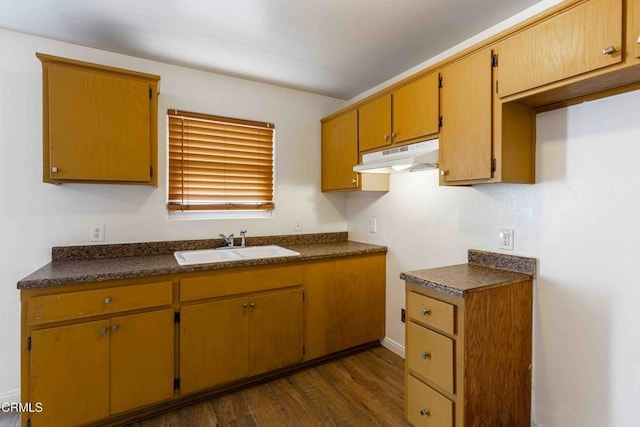 kitchen with under cabinet range hood, dark wood-style flooring, a sink, brown cabinetry, and dark countertops