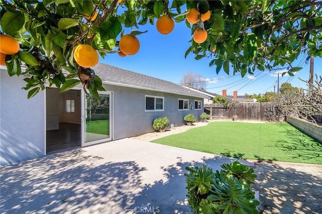 view of yard with a patio area and a fenced backyard