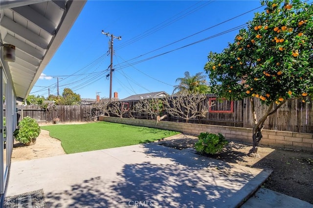 view of yard with a patio area and a fenced backyard