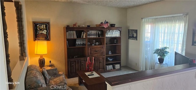 living area with a textured ceiling