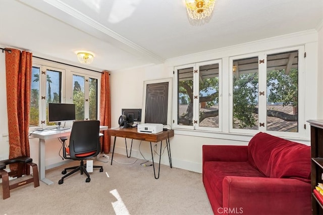 office area with carpet, crown molding, and baseboards