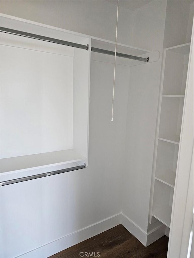 walk in closet featuring attic access and dark wood finished floors