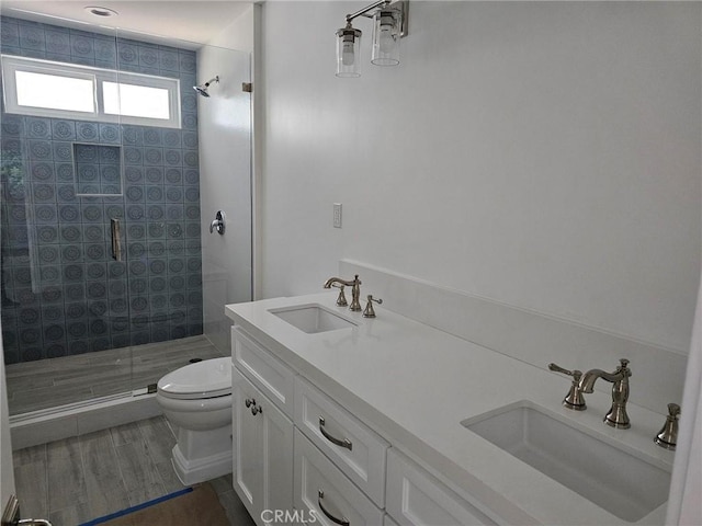 full bathroom featuring a sink, a shower stall, toilet, and double vanity