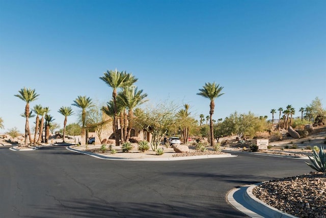 view of street featuring curbs