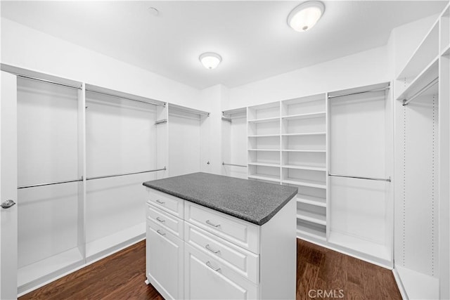 spacious closet featuring dark wood finished floors