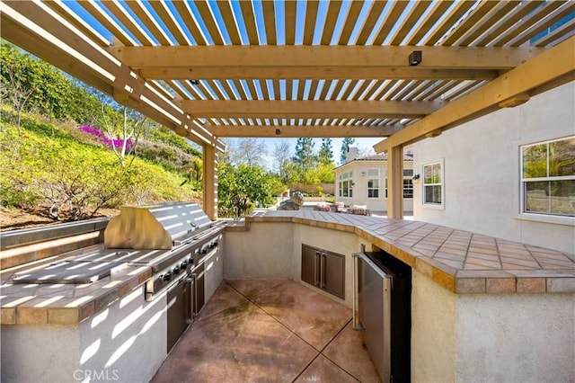 view of patio / terrace featuring exterior kitchen