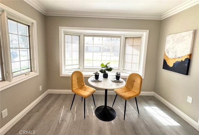 interior space with crown molding, baseboards, and wood finished floors