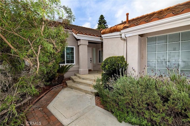 view of exterior entry with a tile roof and stucco siding