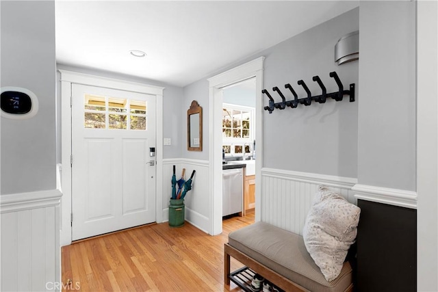 entrance foyer featuring wainscoting, a healthy amount of sunlight, and light wood-style flooring