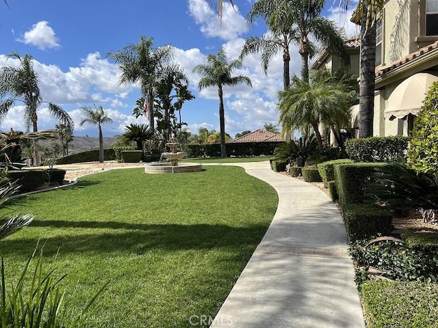 view of community featuring a lawn