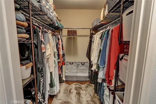 walk in closet with wood finished floors