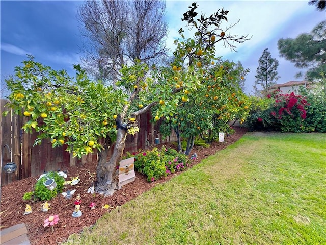 view of yard with fence