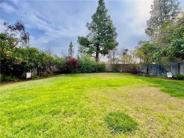 view of yard featuring a fenced backyard