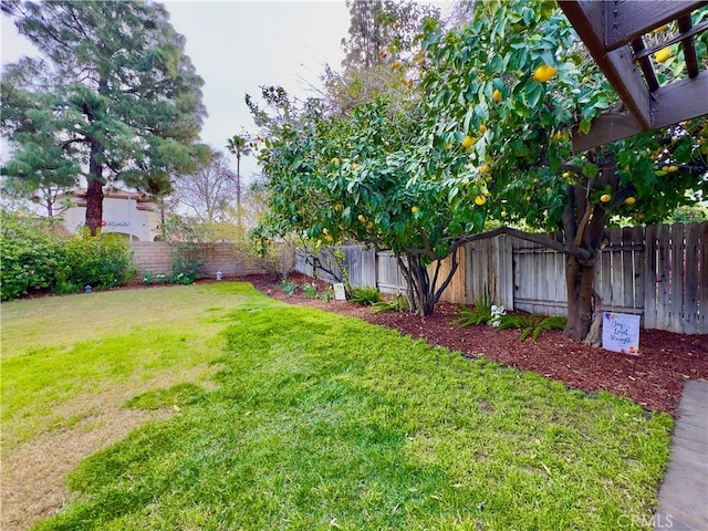 view of yard featuring a fenced backyard