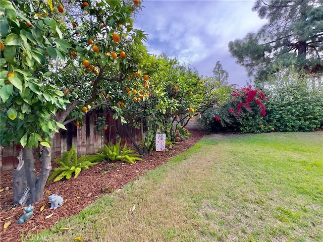 view of yard featuring fence