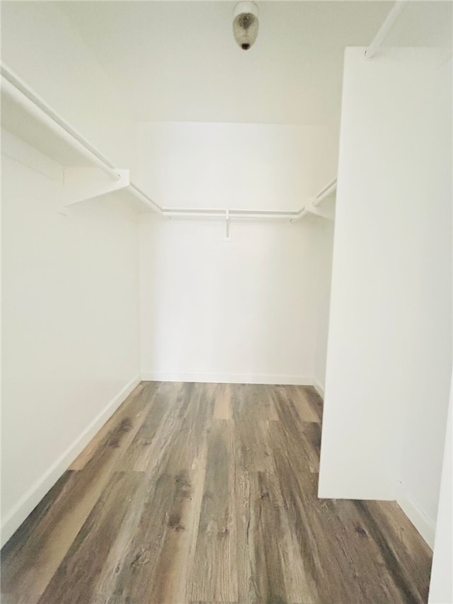 spacious closet with wood finished floors