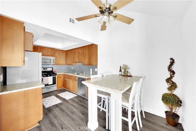 kitchen featuring a raised ceiling, dark wood-style floors, appliances with stainless steel finishes, a sink, and backsplash