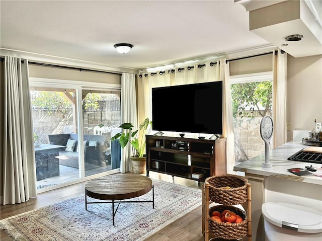 living area with wood finished floors and a wealth of natural light
