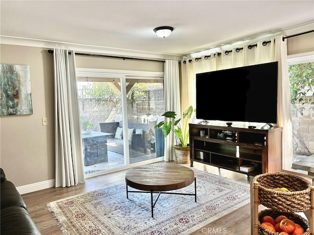 living area with wood finished floors and baseboards