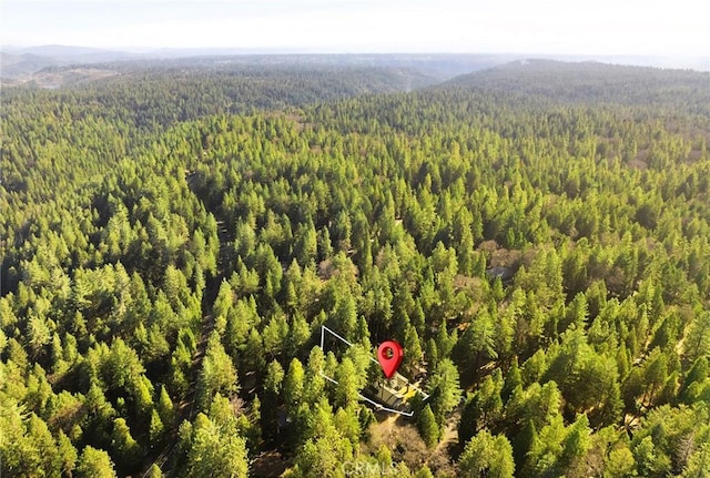 aerial view with a wooded view