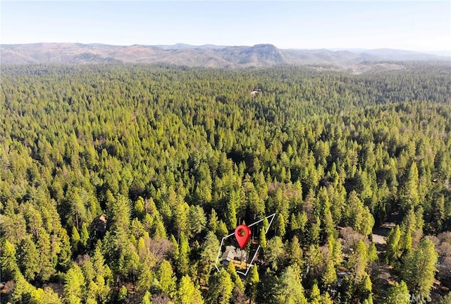 bird's eye view featuring a mountain view and a wooded view