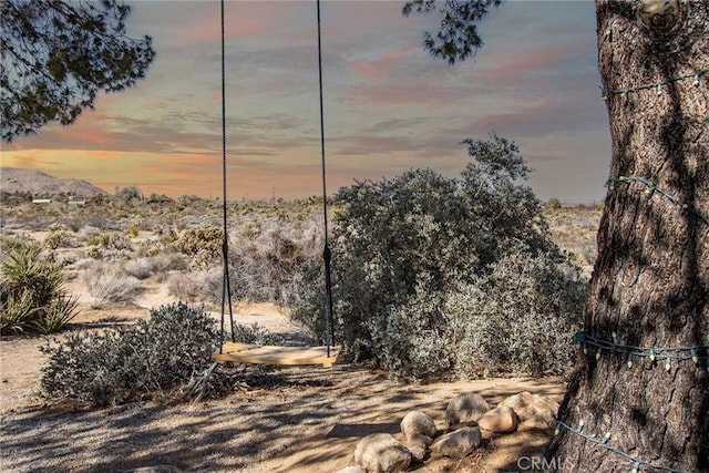 7716 Sunset Rd, Joshua Tree, CA 92252 - view of local wilderness