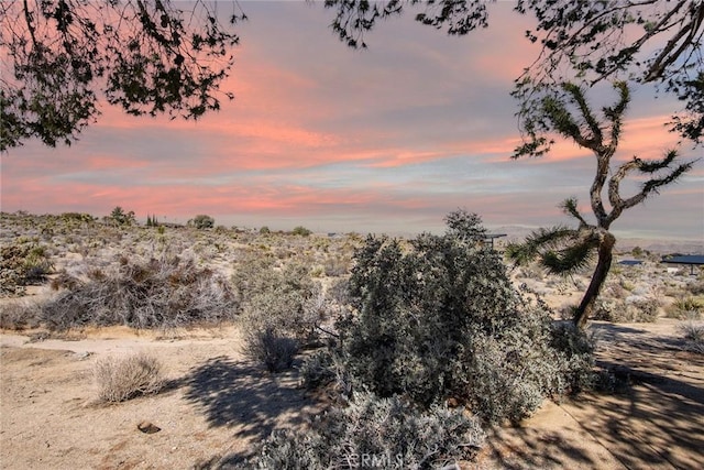 7716 Sunset Rd, Joshua Tree, CA 92252 - view of nature at dusk