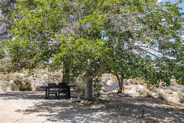7716 Sunset Rd, Joshua Tree, CA 92252 - view of yard