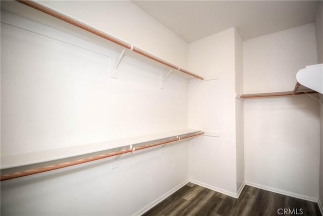 walk in closet featuring dark wood-style floors