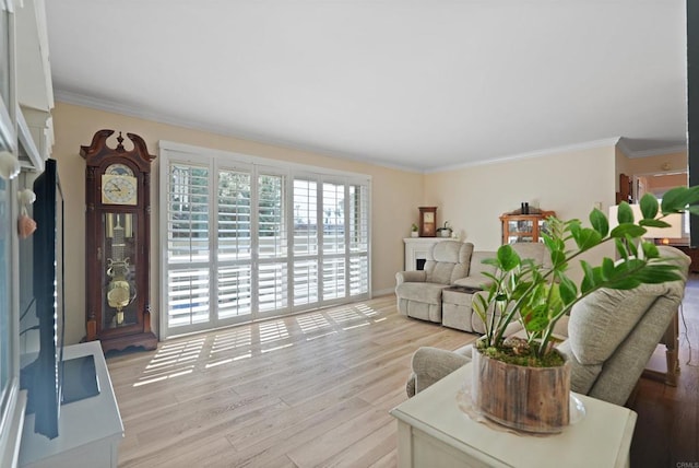 living area with ornamental molding, light wood-type flooring, and a fireplace