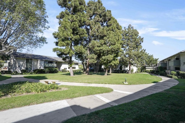 view of property's community with a yard