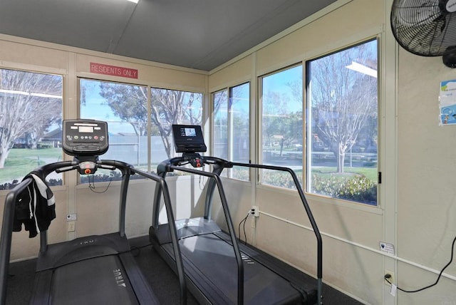 workout area featuring a wealth of natural light