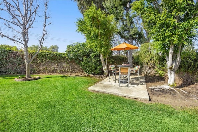 view of yard featuring a patio area