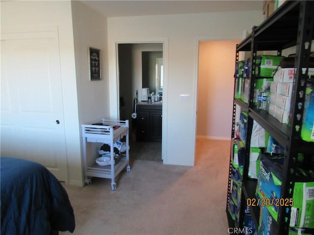 bedroom featuring carpet flooring and ensuite bath