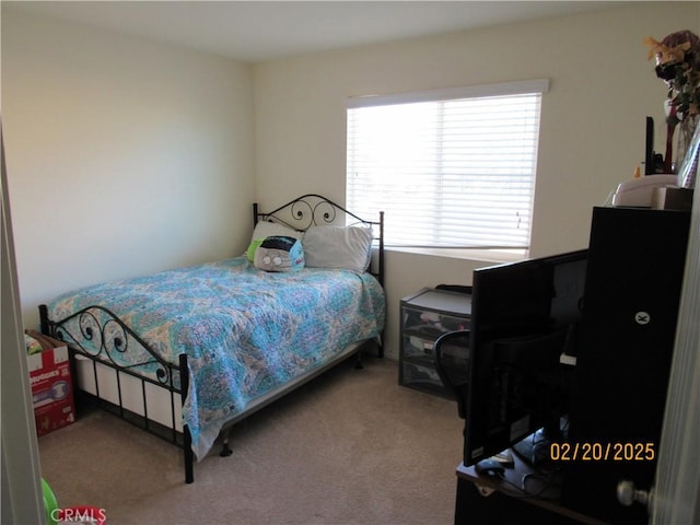 bedroom with carpet flooring