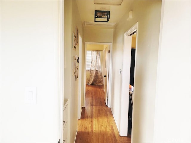 corridor featuring light wood-type flooring and attic access