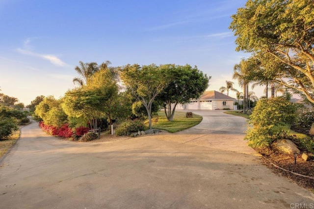 view of property hidden behind natural elements featuring driveway