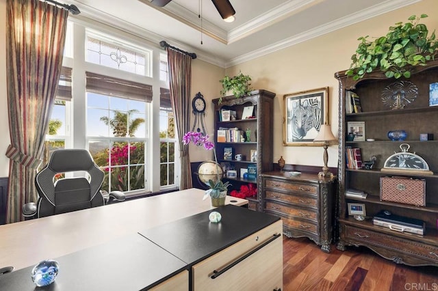 office area with ornamental molding, a tray ceiling, ceiling fan, and wood finished floors