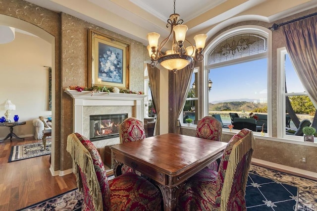 dining space featuring ornamental molding, wood finished floors, a wealth of natural light, and a premium fireplace