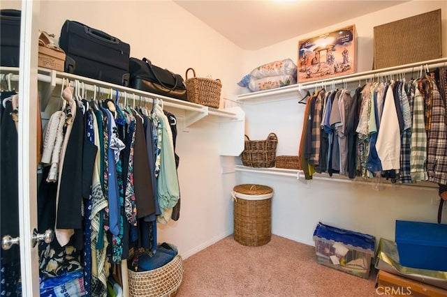 spacious closet featuring carpet floors